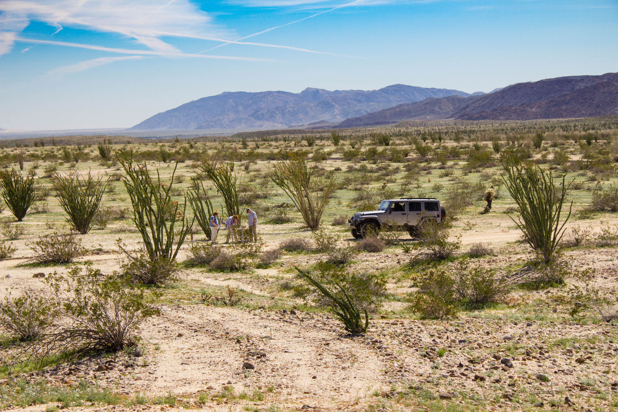 32605580954_135c8ecd0b_k